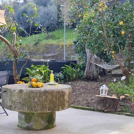 Rita Home B&B Sorrente Extérieur photo