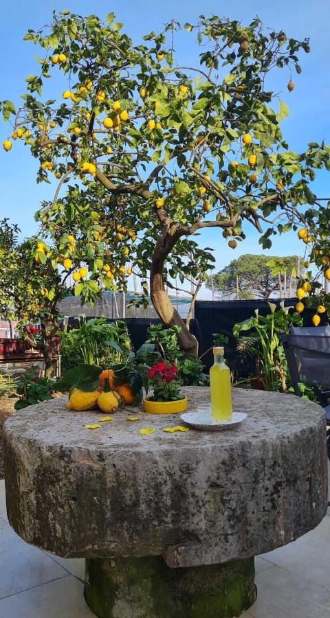 Rita Home B&B Sorrente Extérieur photo